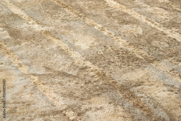 Obraz Cement ground texture abstract background.