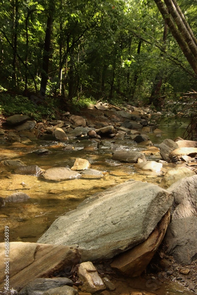 Obraz Peaceful Creek