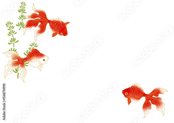 Obraz 金魚と水草の和柄背景素材
