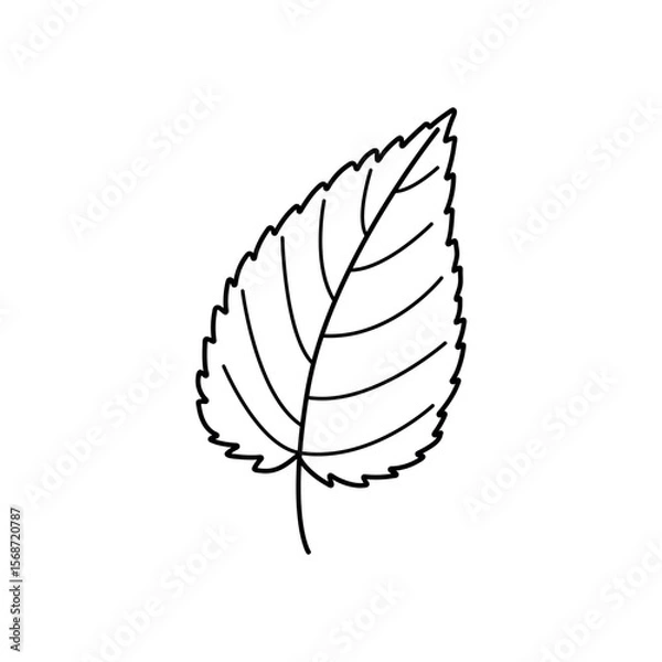 Fototapeta Minimalist leaf outline in black and white. Perfect for botanical design, eco projects, coloring pages, and natural product branding.
