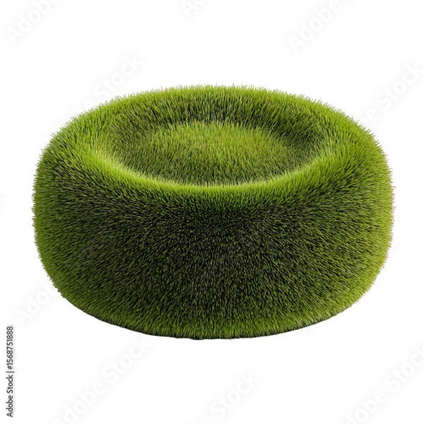 Obraz Grassy Cap Object on Transparent Background