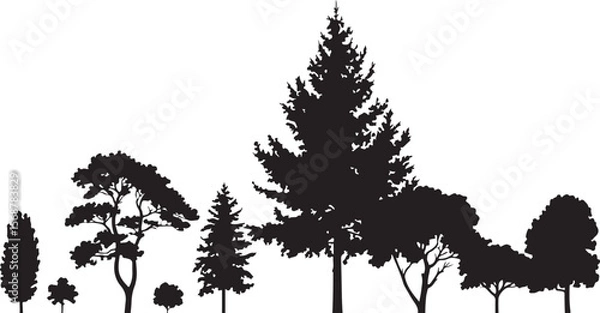 Fototapeta Black Silhouette Vector Illustration of Various Trees Including Pine Cypress and Deciduous Trees on White Background
