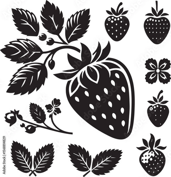 Fototapeta silhouette of a strawberry vector, strawberry illustration, strawberry vector