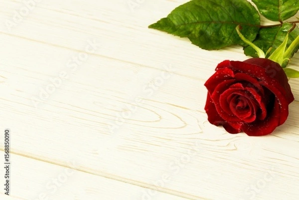Obraz Red rose on wood with copy space