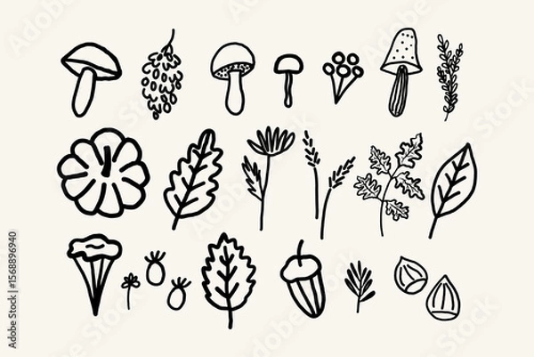 Obraz Vector illustrations of autumn objects:with pumpkin, mushrooms, berries, grapes, maple leaf, rowan, oak leaf, plants, fall flowers. Design elements for Thanksgiving Day, autumnal season, event