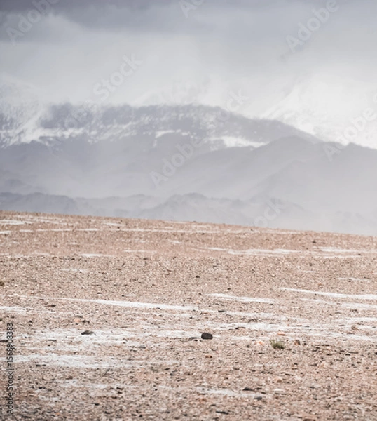 Fototapeta Panorama of mountain peaks with snow and glaciers, a landscape in the highlands of the Tien Shan in Pamir in cloudy weather with clouds and rain, high-mountain steppe and mountains in the background