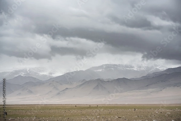 Fototapeta Panorama of mountain peaks with snow and glaciers, a landscape in the highlands of the Tien Shan in Pamir in cloudy weather with clouds and rain, high-mountain steppe and mountains in the background