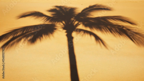 Fototapeta palm tree shadow on golden sand for summer background