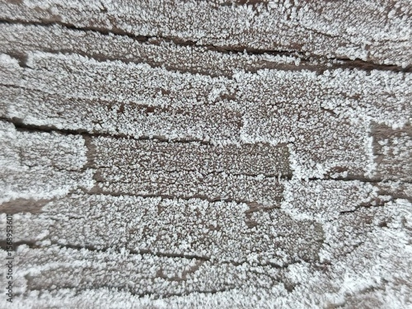Obraz Close-up of frosted wooden surface