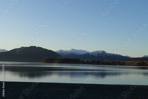 Obraz that wanaka tree