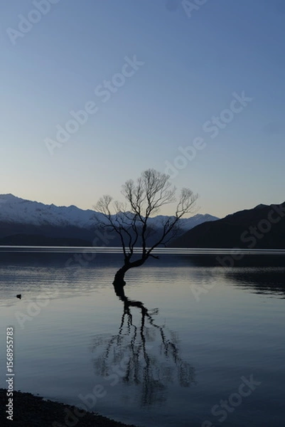 Obraz tree on the lake
