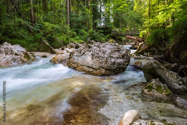 Fototapeta Wasserlauf im Zauberwald am Hintersee in den Alpen bei Berchtesgarden in Deutschland