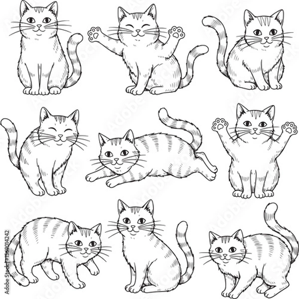 Fototapeta Adorable hand-drawn cat illustrations in various playful poses capture the charm of feline companions, perfect for pet-themed designs and animal lovers.