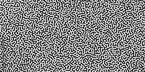 Obraz Abstract Reaction-diffusion Turing pattern natural texture gray gradient color scheme. Linear design with biological algorithm psychedelic background. Reaction-diffusion or truing patter	