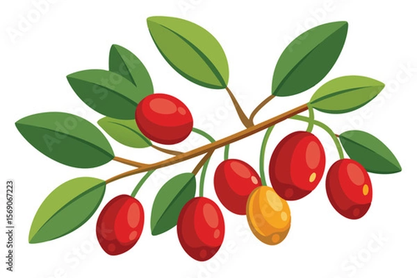 Fototapeta Vibrant Red and Yellow Berries on Branch A Detailed Illustration