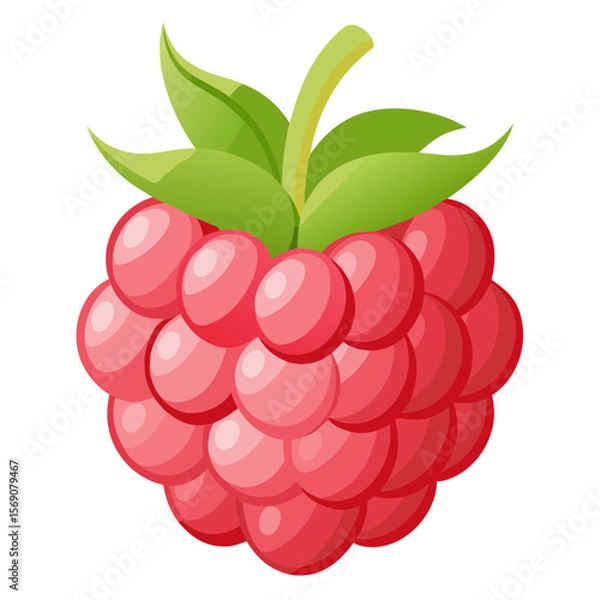 Obraz Raspberry Fruit in Whole and Macro View on Transparent Background

