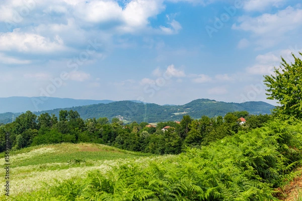 Fototapeta Summer landscape with mountains and fields in western Serbia