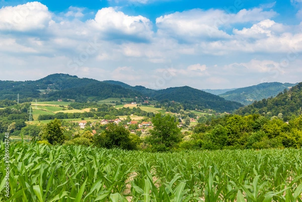 Fototapeta Summer day in the rural area of western Serbia