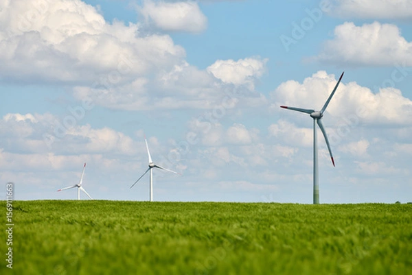 Fototapeta Three wind turbines standing in lush green wheat field with bright blue sky and scattered white clouds in background