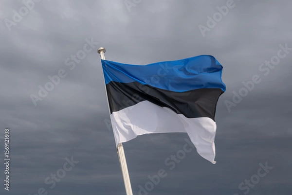 Fototapeta Flag Of Estonia Against Overcast Sky