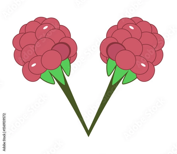 Fototapeta Two raspberry berries with green leaves. Vector drawing.