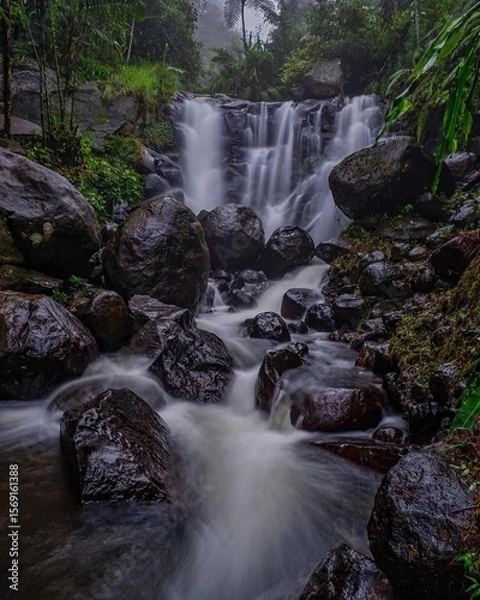 Fototapeta A small waterfall that flows rapidly between large dark rocks that shine because they are wet. Surrounded by dense vegetation typical of tropical rainforests such as ferns, large trees, and wet bushes