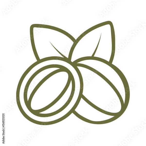 Fototapeta Make a Professional Shea Nut Vector Art
