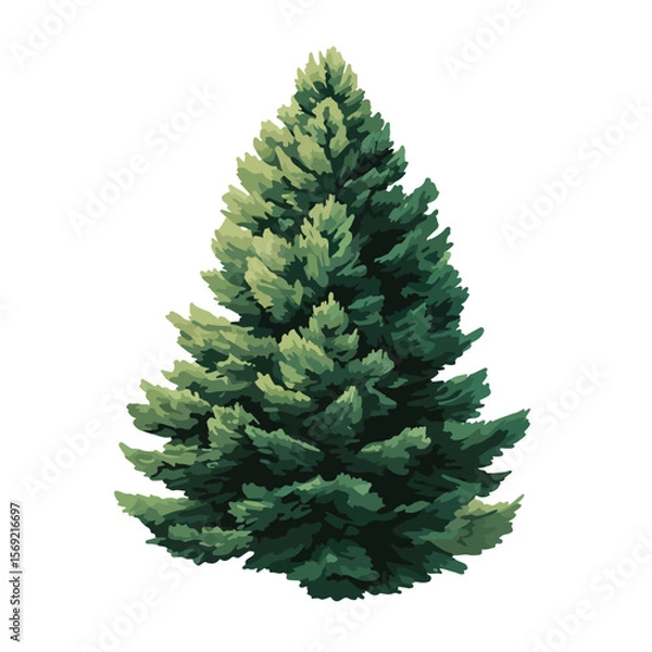 Obraz pine tree isolated in White Background, pine tree vector, Flat lay vector illustration
