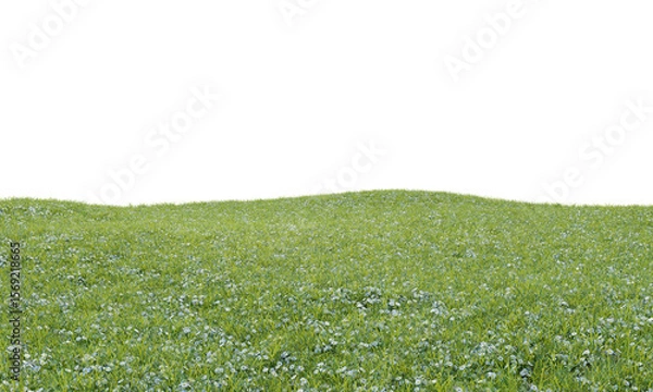 Fototapeta Grass with small white flowers landscape on transparent background
