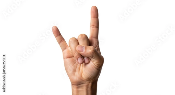 Obraz Isolated Rock and Roll Hand Gesture
