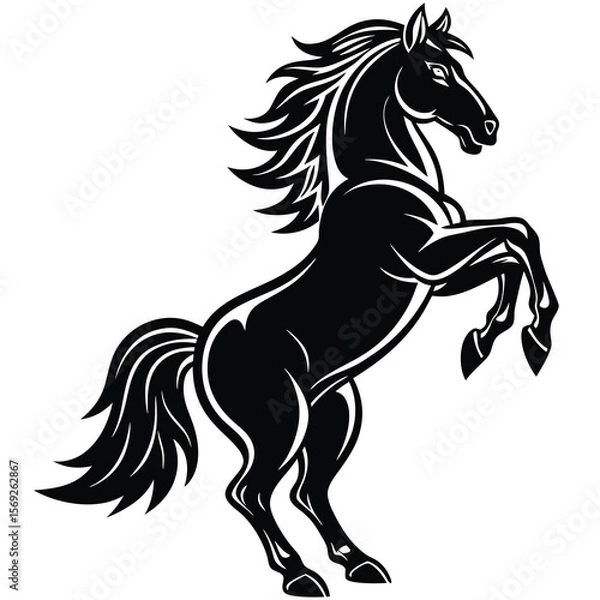Fototapeta Powerful black horse rearing up in majestic display