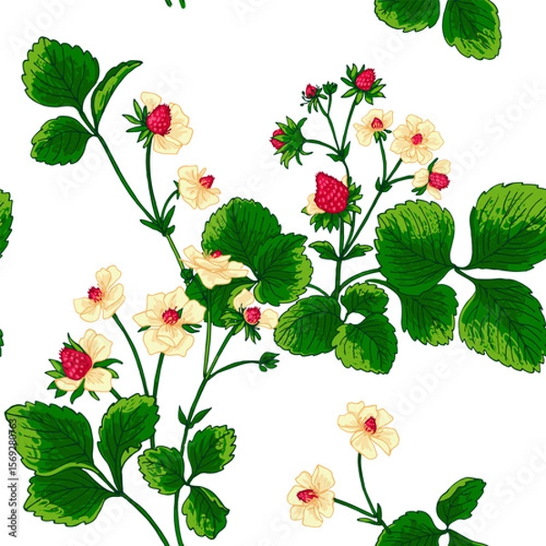 Obraz Pattern vector Strawberry berries color line. Summer flowers and berries. Harvest, farm products.