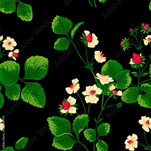 Obraz Pattern vector Strawberry berries color line. Summer flowers and berries. Harvest, farm products.