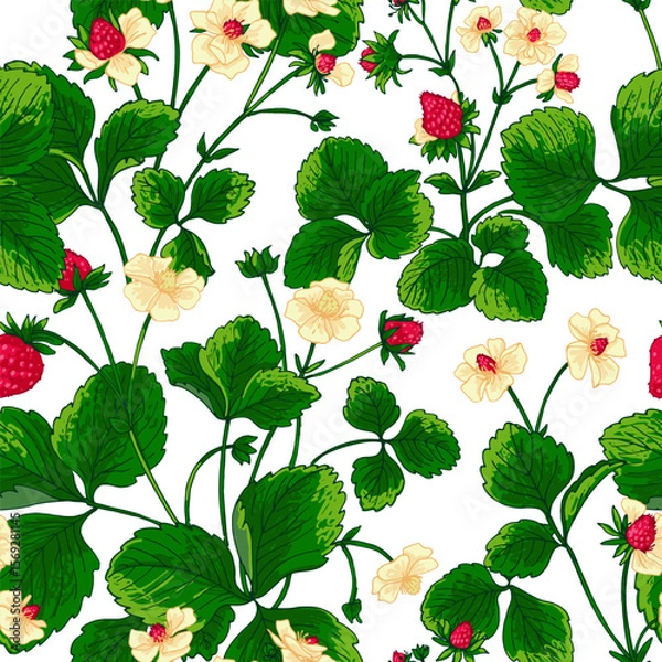 Obraz Pattern vector Strawberry berries color line. Summer flowers and berries. Harvest, farm products.