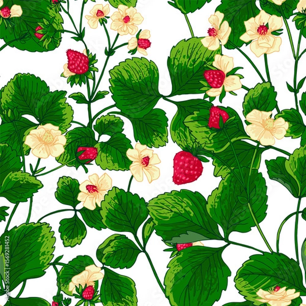 Obraz Pattern vector Strawberry berries color line. Summer flowers and berries. Harvest, farm products.