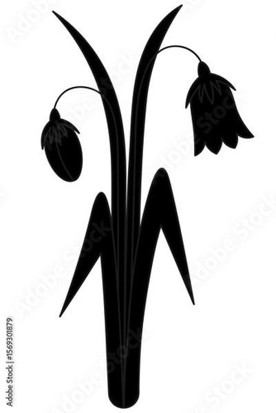 Fototapeta Bellflower flower and bud. Silhouette. Spring flowers, grass and big leaves. Vector illustration. Cartoon. Blooming plant. Isolated white background. Idea for web design, invitation, postcard.