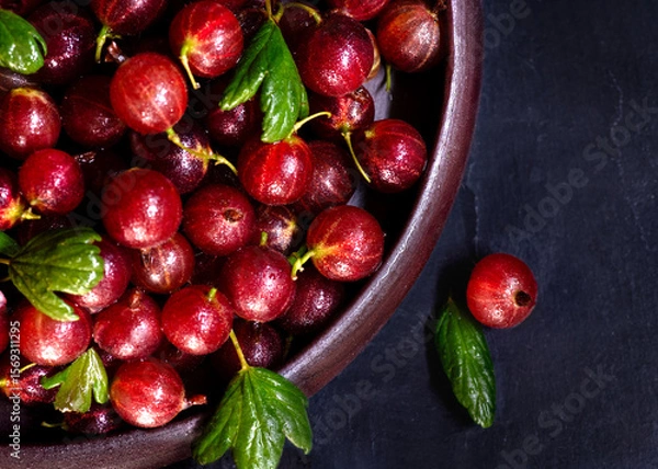 Obraz Vibrant red gooseberries