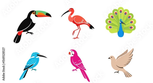 Fototapeta Vector illustration of colorful exotic birds toucan ibis peacock kingfisher parrot dove vector drawing design art