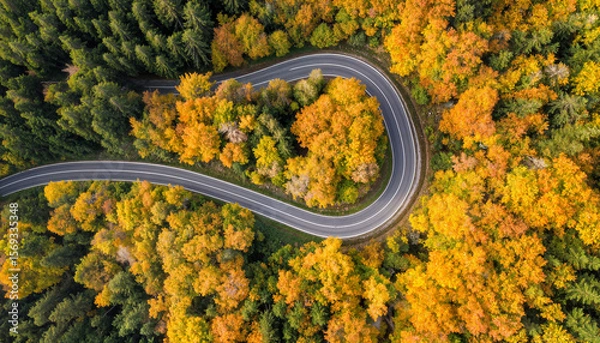 Fototapeta Aerial drone shot of a winding road through autumn-colored forest