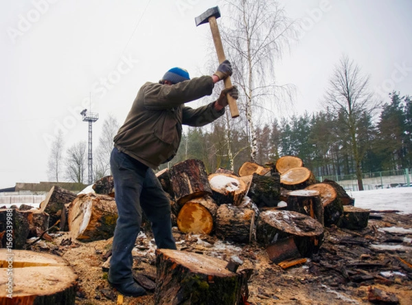 Fototapeta Man chopping firewood in a snowy landscape during winter
