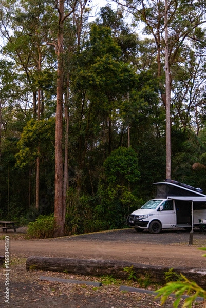 Obraz Camping ground in forest setting