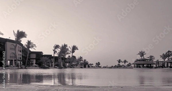 Obraz date palms grow near the pool
