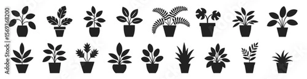 Fototapeta Indoor potted houseplants in silhouette vector illustration. Set includes leafy tropical plants in various pot shapes with bold and minimal leaf forms.