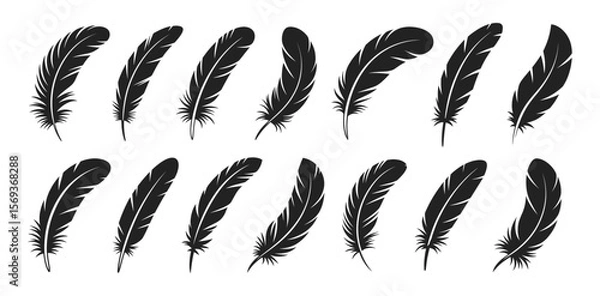 Fototapeta Minimal black feather silhouettes in assorted slim and curved forms, vector illustration set. Decorative bird feathers with clean lines arranged in two neat rows.