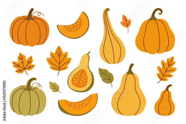Fototapeta Vector Collection of Pumpkins and Squash in Warm Autumn Colors with Leaves — Thanksgiving and Fall Harvest Illustration for Seasonal Decor and Holiday Themed Creative Projects