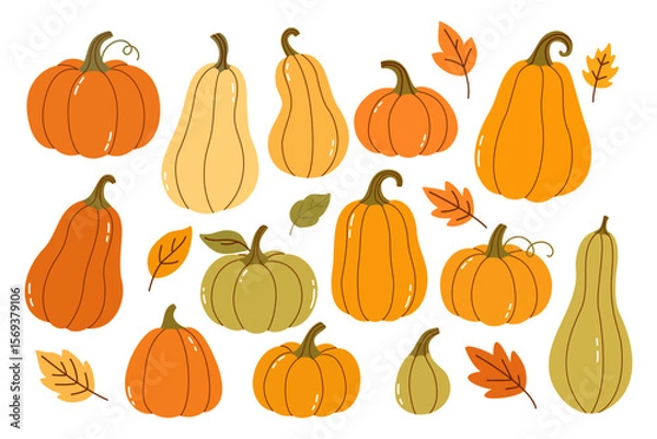 Fototapeta Cute Fall Pumpkin and Gourd Set in Orange, Yellow and Green Tones — Flat Vector Illustration for Thanksgiving Cards, Autumn Patterns, and Seasonal Festive Designs