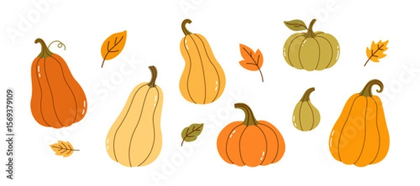 Fototapeta Autumn Pumpkin Set with Colorful Gourds and Falling Leaves — Hand Drawn Thanksgiving Harvest Elements in Flat Style on White Background for Fall Decoration and Seasonal Design Projects