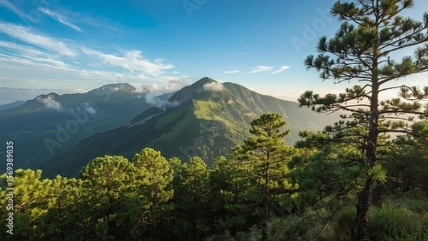 Fototapeta Majestic green mountains covered with dense pine forests stretching across the landscape, evoking a sense of natural beauty, tranquility, wilderness, and the timeless power of untouched alpine scenery