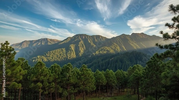 Fototapeta Majestic green mountains covered with dense pine forests stretching across the landscape, evoking a sense of natural beauty, tranquility, wilderness, and the timeless power of untouched alpine scenery