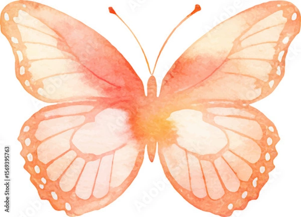 Fototapeta Vector watercolor painted butterfly. Hand drawn design elements isolated on white background.